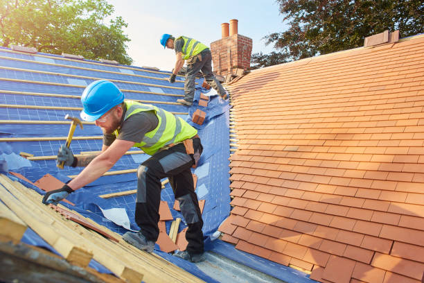 Best Roof Maintenance and Cleaning  in Willamina, OR